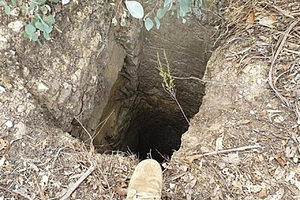 Золотоискатель нашел под землей кенгуру В сумке животного прятался живой кенгуренок, который не пострадал при падении с высоты 11 метров
