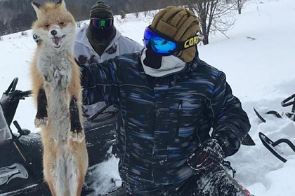 Ведущего Первого канала раскритиковали за фотографию с убитой на охоте лисицей