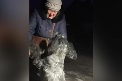 Пенсионерка нашла украденного у нее пса в российском «концлагере» для собак
