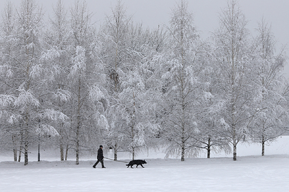 Россиянам пообещали возвращение суровых снежных зим