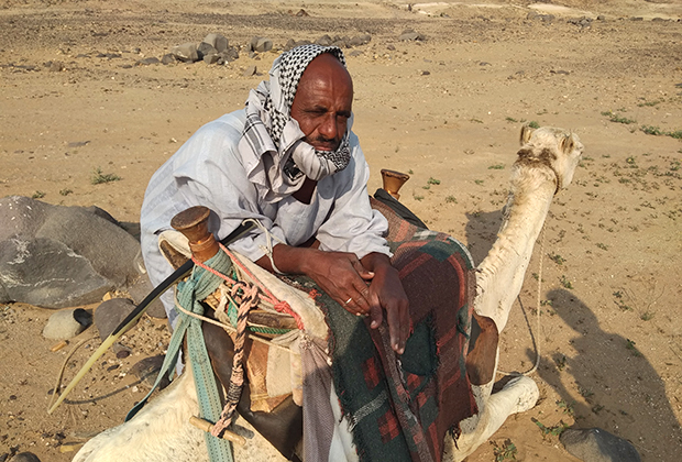 Пастух-суданец