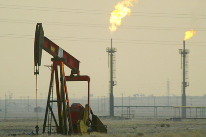 Ценам на нефть предсказали застой