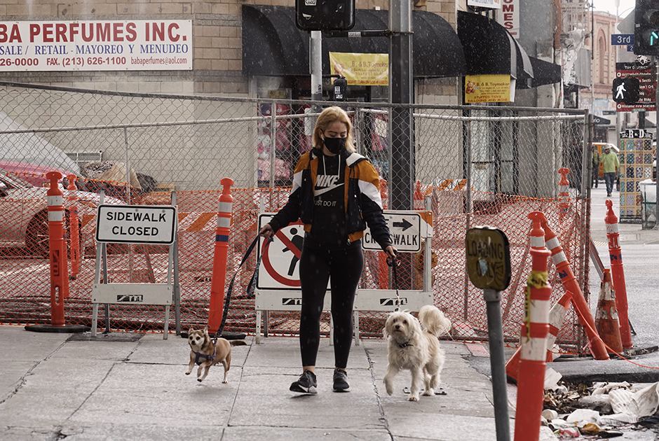 Жительница района Little Tokyo в Лос-Анджелесе выгуливает собак 