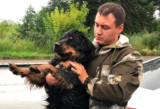 Вадим Матвиенко и одна из спасенных тулунских собак