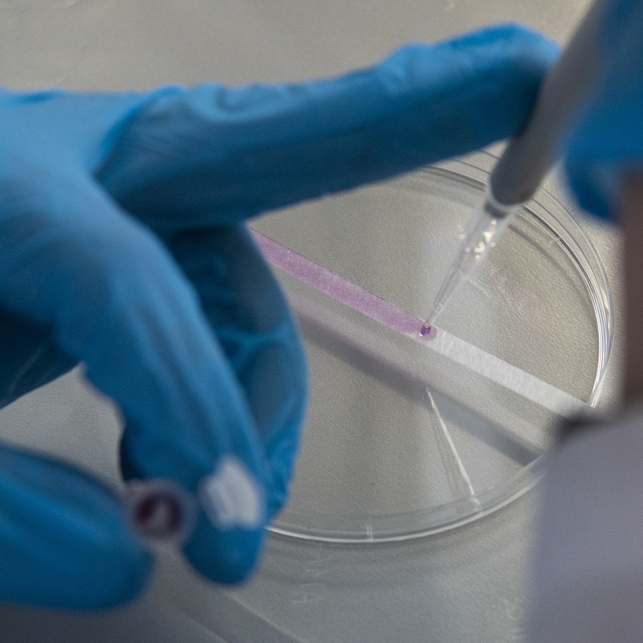 Этапы создания теста. Тест разработанные учеными. Тест разработанные учеными. Тест разработанные учеными. Разработчик тестов.