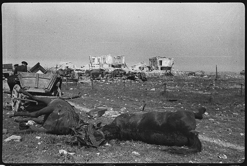 На переднем плане — расстрелянные немцами лошади. Херсонский аэродром, 13 мая 1944 года.
