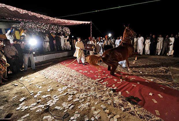 Конное представление во время свадебного торжества в деревне Санджан. Исламабад, Пакистан