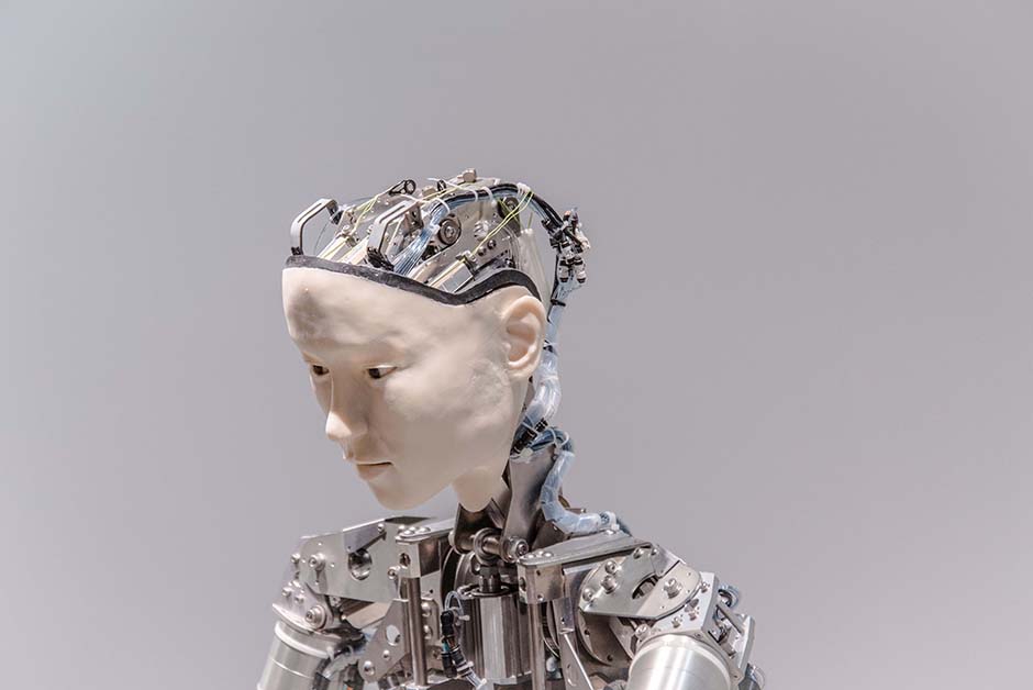 Работа итальянца Алессандро Гандольфи (Alessandro Gandolfi) была признана лучшим натюрмортом. На фотографии — японский робот-андроид. С его помощью Гандольфи решил привлечь внимание к вечным вопросам, на которые в XXI веке появились неожиданные ответы. Может ли человек стать по-настоящему бессмертным? Как биоинженерия, наномедицина, генетика и искусственный интеллект повлияют на нашу жизнь? 