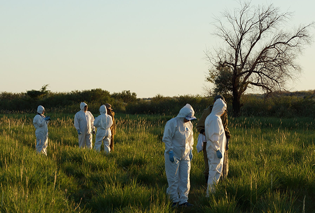 Немецкие и казахстанские ученые проводят тренинг «Биозащита и безопасность в полевых условиях и высокопатогенные инфекции, передающиеся грызунами»