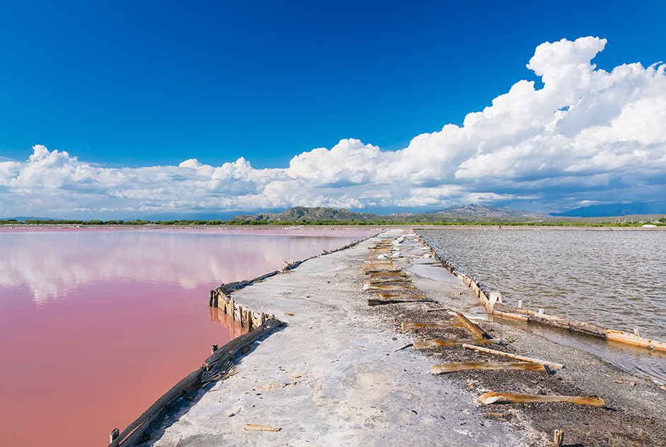 Феномен знаменитого розового озера Ретба в Сенегале объясняется просто — вода приобретает ярко-розовый оттенок за счет жизнедеятельности цианобактерий, которые питаются солью. Чтобы выжить, они притягивают определенный спектр солнечного излучения и для этого выделяют цветной пигмент, который впоследствии и окрашивает воду. Если подойти к озеру в разное время суток, можно заметить, что вода в зависимости от освещения приобретает разные тона — от нежно-выбеленного до алого и даже фиолетового. 