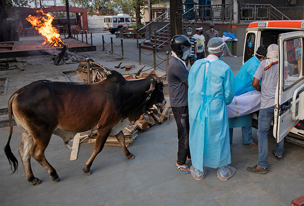 Сотрудники скорой помощи и родные умершего от коронавируса грузят его тело в машину