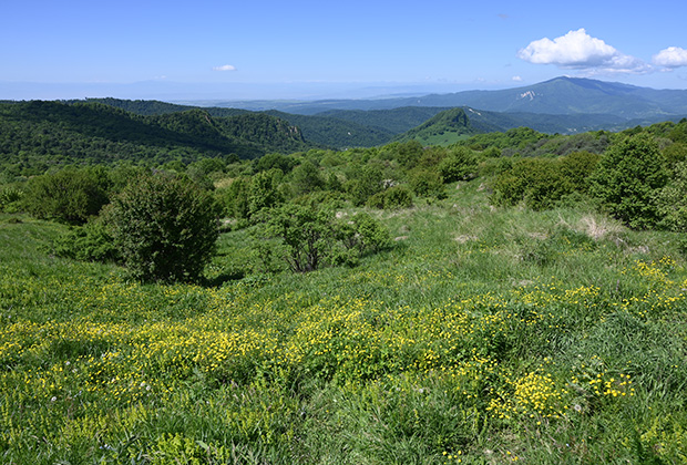Гомборский перевал в регионе Кахетия в Грузии