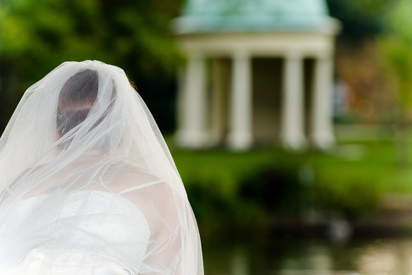 Давай поженимся завидная невеста 28 11 2018 смотреть онлайн
