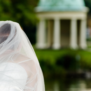 Невеста понарошку: что делать, если вам сделали предложение во сне