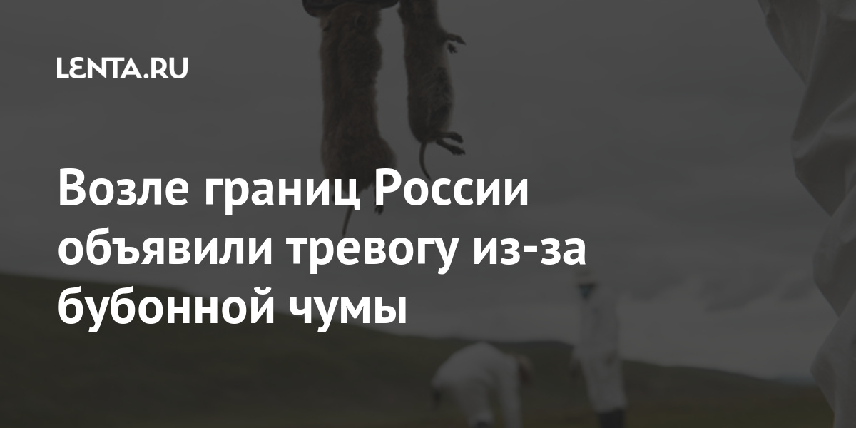 Возле границ россии объявили тревогу из-за бубонной чумы смертельное заболевание распространяется в китае и монголии
