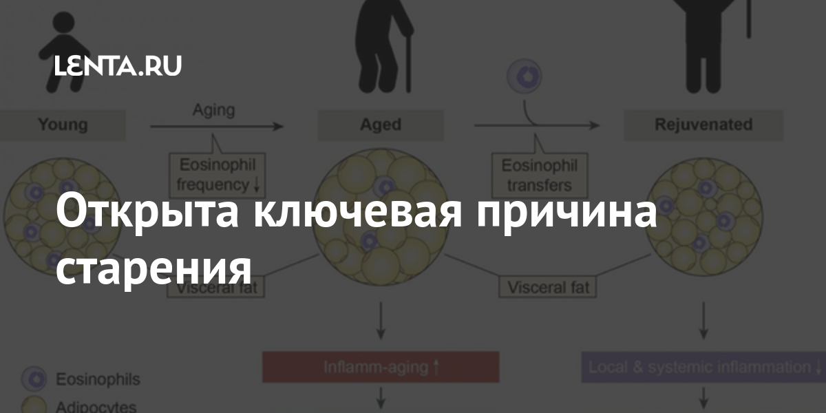 улучшение упругости кожи