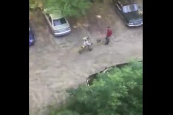 Вводная картинка