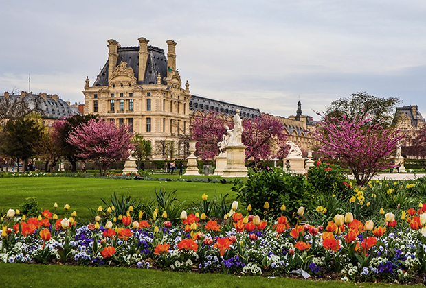 Сад Тюильри, основанный Екатериной Медичи в 1564 году, и вид на дворец Лувр в Париже