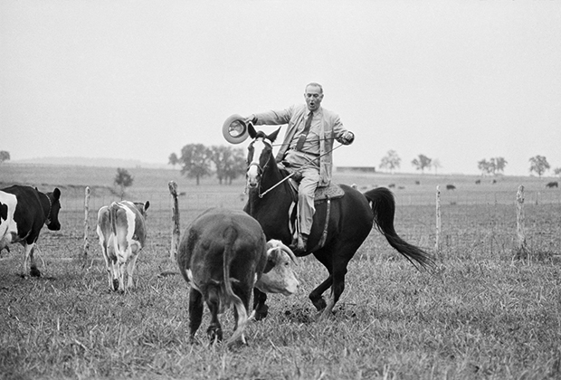 Президент Джонсон верхом на лошади, 1964 год