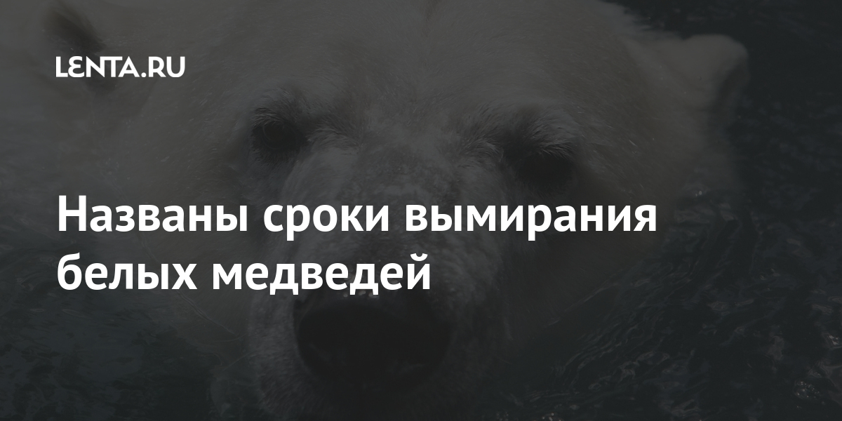 Проголодавшегося медведя запрут 1 бывало 2 в пустой комнате 3 привязав его веревкою за кольцо