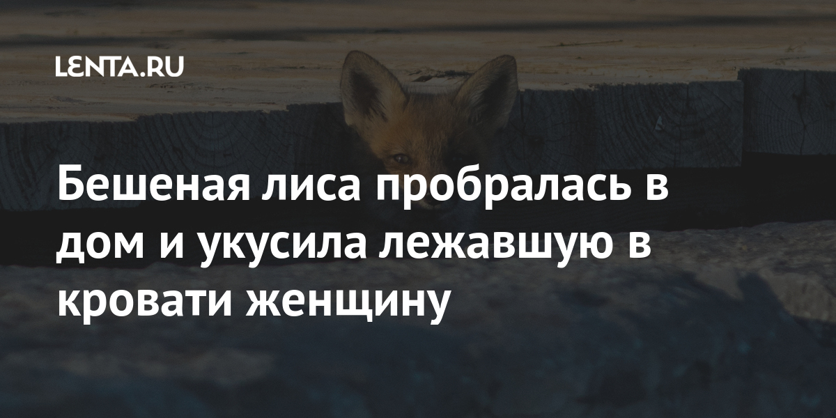 В Одессе бешеная лиса укусила домашнюю собаку