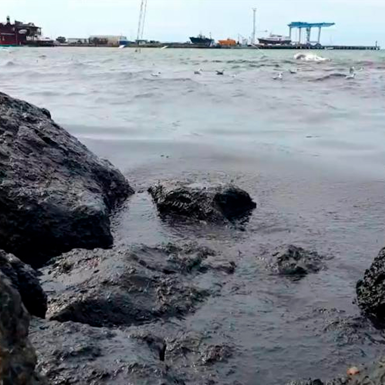 Черное море без воды фото Объяснен феномен черной воды у берегов Черного моря: Россия: Путешествия: Lenta.