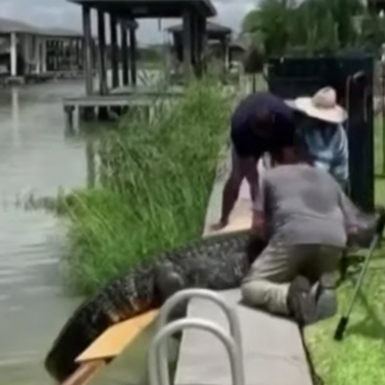 Нападение дочь. Аллигатор спас ребенка. Девушка спасает отца от крокодилов.