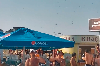 Нашествие стрекоз на пляже российского курорта сняли на видео