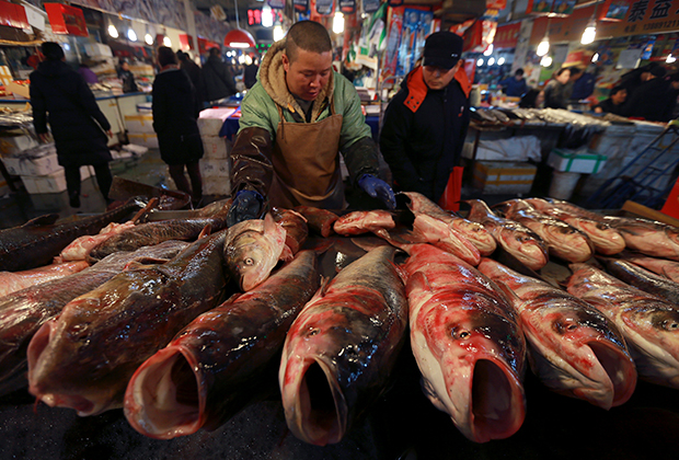 Рыбный рынок в городе Шеньян провинции Ляонин