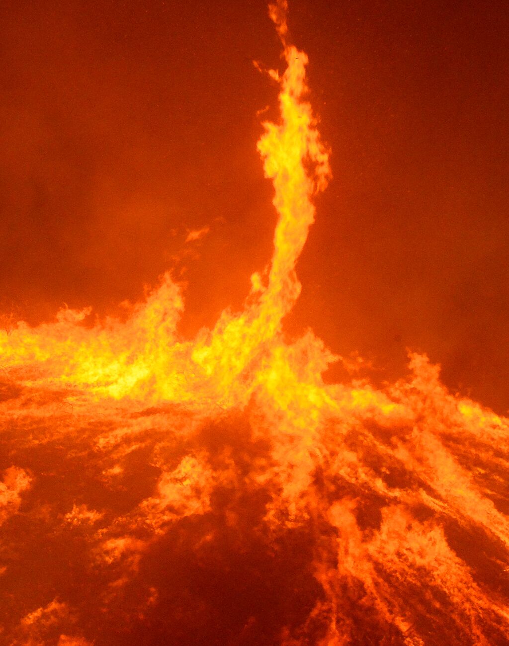 Редчайший огненный торнадо поднялся над лесным пожаром в Калифорнии: Происшествия: Из жизни: Lenta.ru