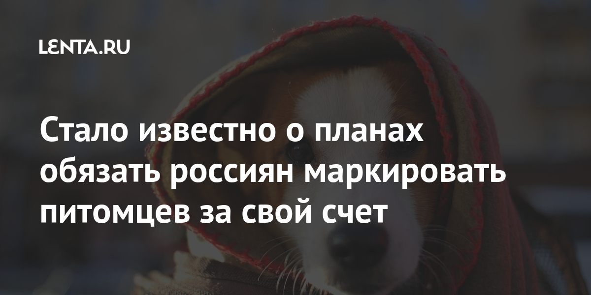 Депутат бурматов заявил о планах обязать россиян маркировать домашних животных