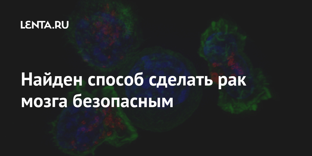 Пивные крабики крышки игрушки. Краб из крышек. Скорпион из пивных крышек. Как делается рак. Женщина больная онкологией.