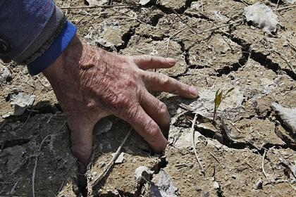 В Крыму приготовились к худшему из-за засухи