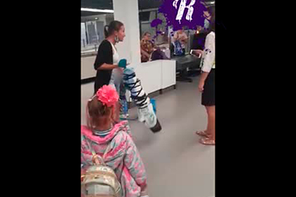 Скандал в аэропорту Крыма из-за игрушки попал на видео