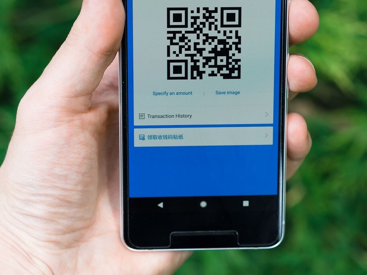 Обнаружен способ потерять деньги через QR-код: Гаджеты: Наука и техника:  Lenta.ru