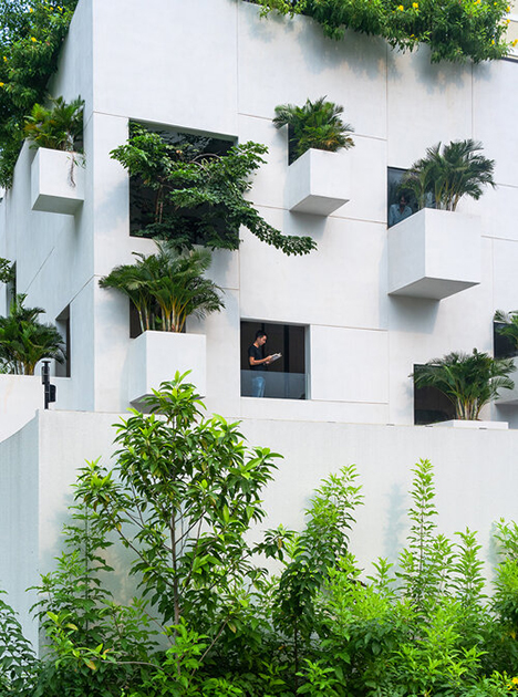 MIA Design Studio создала дом в экологически бедной жилой зоне Сайгона (Вьетнам), добавив зелени и природных элементов в каждый его уголок. «Небесный дом» (Sky House) окружают многочисленные безликие небоскребы, и архитекторам хотелось внести что-то живое в эти каменные джунгли. У них была задача — обеспечить глубокую горизонтальную и вертикальную связи между человеком и человеком и человеком и природой в этом доме, и они, кажется, справились.