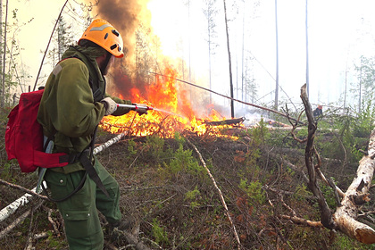 В России прошел пик лесных пожаров