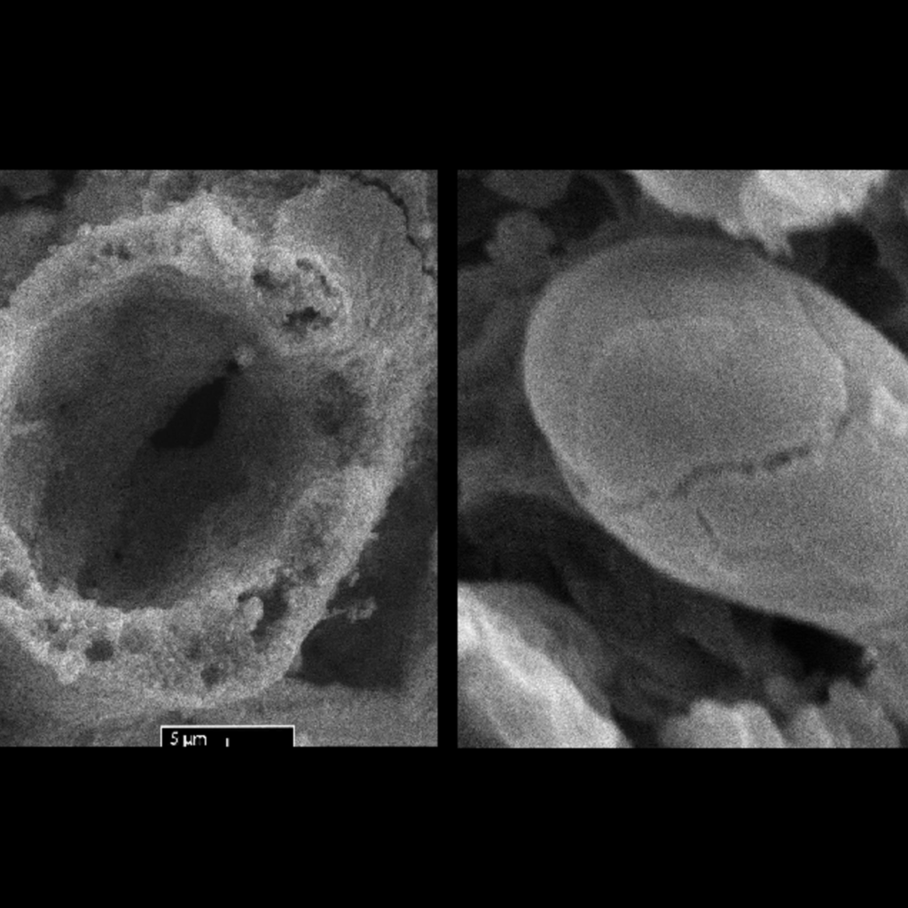 Покажи доказательства. Следы жизни на метеоритах. Metallosphaera Sedula. Метеорит Оргей атлас микрофоссилий. Микроорганизмы в уретре обнаружены.