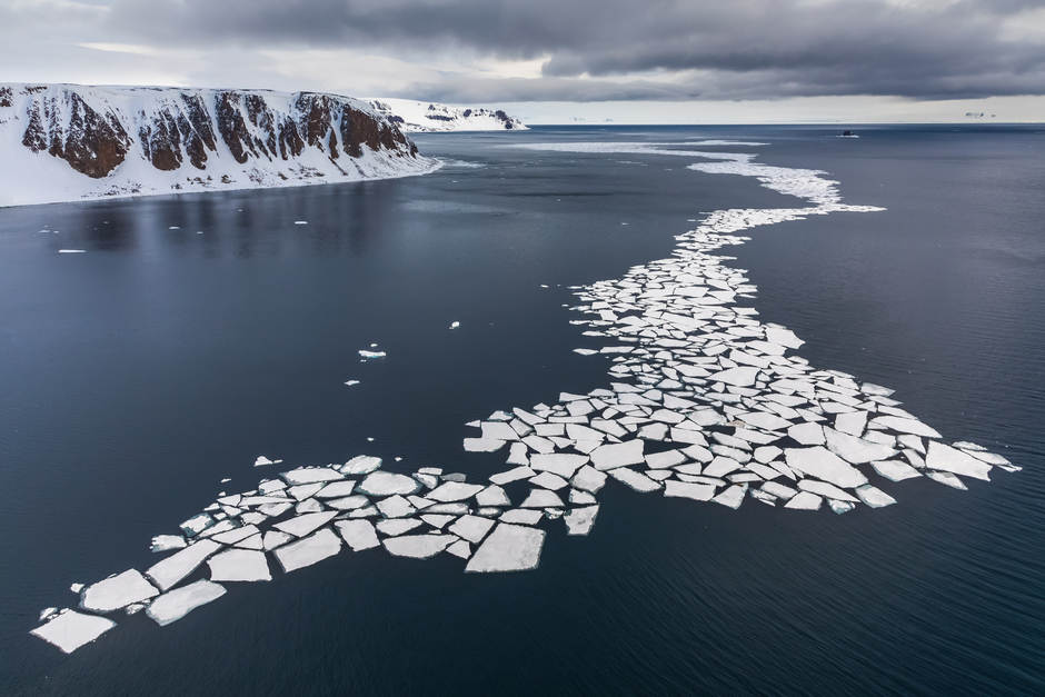 Большинство морских пейзажей Арктики не обходится без морского льда. Он удивляет разнообразием цветов, форм, размеров и даже названий. Ледяные иглы, сало, снежура, шуга, склянка, нилас — все это виды морского льда, выделенные учеными. Смотря на эти причудливые узоры, важно помнить — без арктических льдов невозможно существование не только северных животных, но и всей нашей планеты.