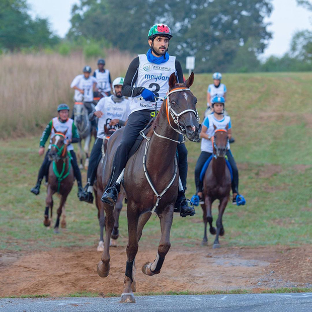 Кронпринц Дубая Хамдан бин Мохаммед бин Рашид аль-Мактум на конном пробеге Endurance Cup в 2020 году