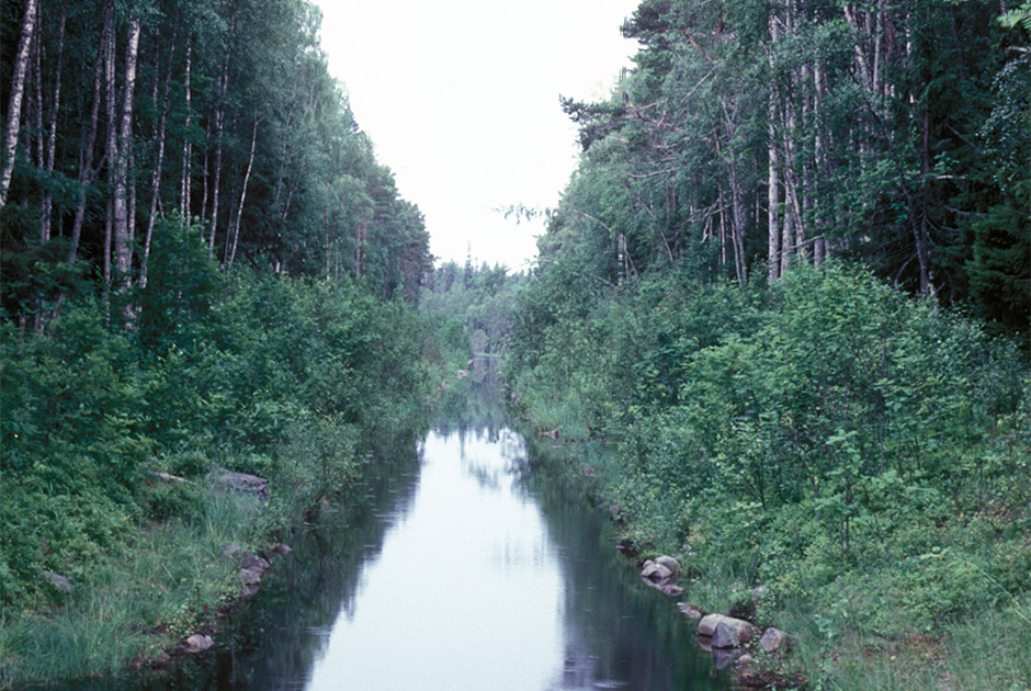 Канал на Соловецком острове, 1998 год