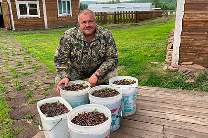 Александр Душин