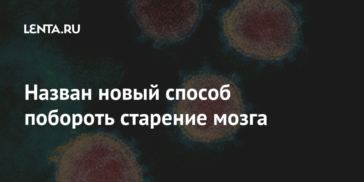 Японская картинка на старение мозга. Японский метод старения мозга. Найден способ омоложения мозга.. Задачи на старение мозга. Текст на старение мозга.