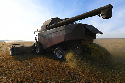Российский регион почти в два раза перевыполнил план по экспорту зерновых