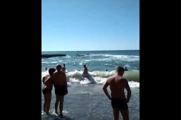Вводная картинка