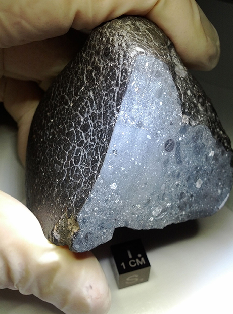Марсианский метеорит «Черная красавица»