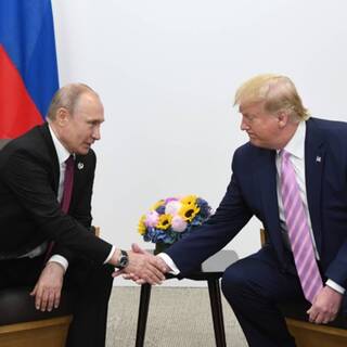 Владимир Путин и Дональд Трамп                         