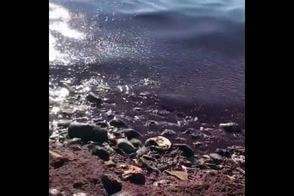 Ставшее красным Черное море на российском курорте сняли на видео