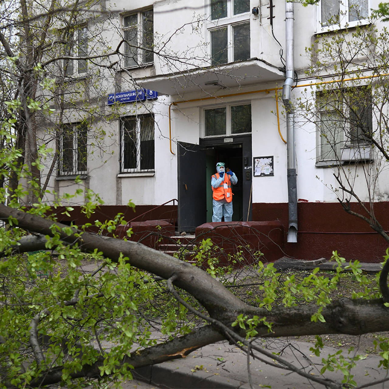 Вирусолог назвал заразные из-за коронавируса предметы в доме: Общество:  Россия: Lenta.ru