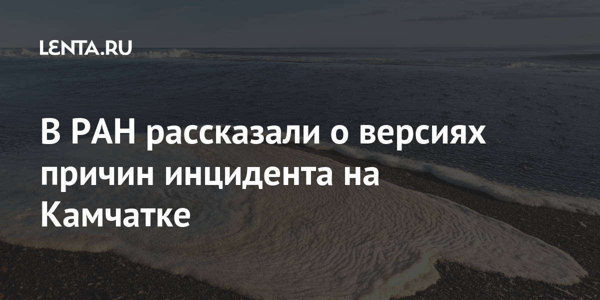 В ран рассказали о версиях причин инцидента на камчатке